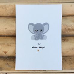 Decoratie kaart Geboorte felicitatie kaart baby olifantje Lieve kleine ukkepuk
