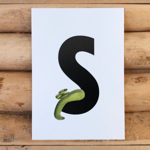 Letterkaartje S van Slang. Stel je eigen naamslinger, woordslinger, geboorteslinger of verjaardagslinger samen met deze dieren alfabet kaarten.
