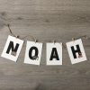 Naamslinger Noah