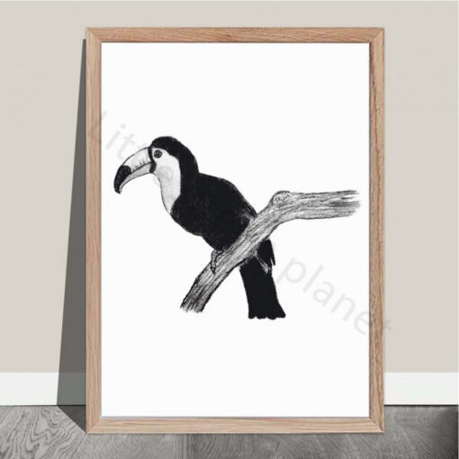 Zwart wit poster - Toekan - PDF printable. Jungle poster kinderkamer. Stijlvolle poster met een toekan getekend met houtskool. Toekan poster. Toucan poster.