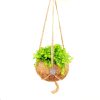 Plant kinderkamer/babykamer. Kokodama Pilea Depressa (Chinese moneyplant). Bijv. ophangen aan gordijnroede, een plafond haak of aan een kast.
