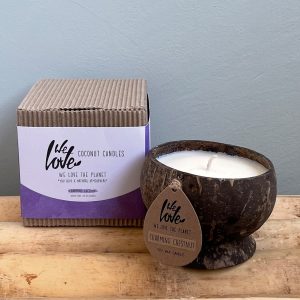 We Love Coconut candle, Charming Chestnut.