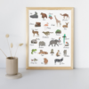 Dieren alfabet poster Nederlands. ABC poster dieren. Alfabet poster dieren - A4 formaat. Alfabet poster kinderkamer. Alfabet poster printen.