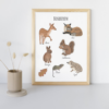 Bosdieren poster - Nederland - Printable. Bosdieren kinderkamer. Poster bosdieren babykamer. Praatplaat. Themahoek bos(dieren). Woodland. Forest.