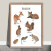 Bosdieren poster - NederlandBosdieren poster - Nederland - Printable. Bosdieren kinderkamer. Poster bosdieren babykamer. Praatplaat. Themahoek bos(dieren). Schoolplaat.