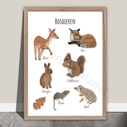 Bosdieren poster - NederlandBosdieren poster - Nederland - Printable. Bosdieren kinderkamer. Poster bosdieren babykamer. Praatplaat. Themahoek bos(dieren). Schoolplaat.