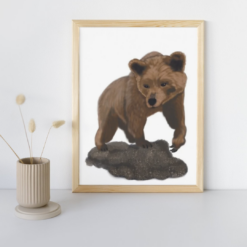 Poster - Beer op rots. Poster beer kinderkamer. Deze lieve, stoere beer waakt over je kind terwijl het ligt te slapen. Beer poster printen. Bosdieren kinderkamer.
