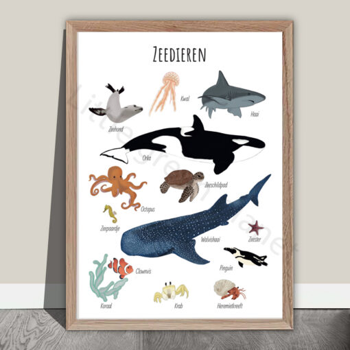 Zeedieren poster - Printable. Zee thema decoratie. Zeedieren kinderkamer, oceaan thema kinderkamer. Zeedieren thema. Kinderkamer strand thema. Babykamer onderwaterwereld. Onderwater diersoorten. Illustratie zeedieren. Praatplaat zeedieren. Praatplaat onderwaterwereld.