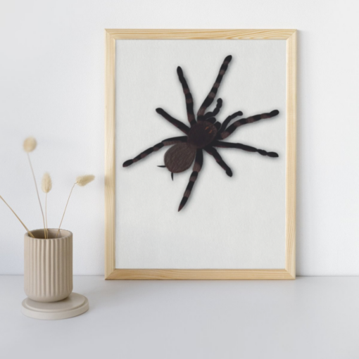 Spinnen poster printable. Stoere jungle kamer. Spinnen poster. Safari kamer. Jungle slaapkamer kind. Jungle kamer decoratie. Unieke jungle decoratie.