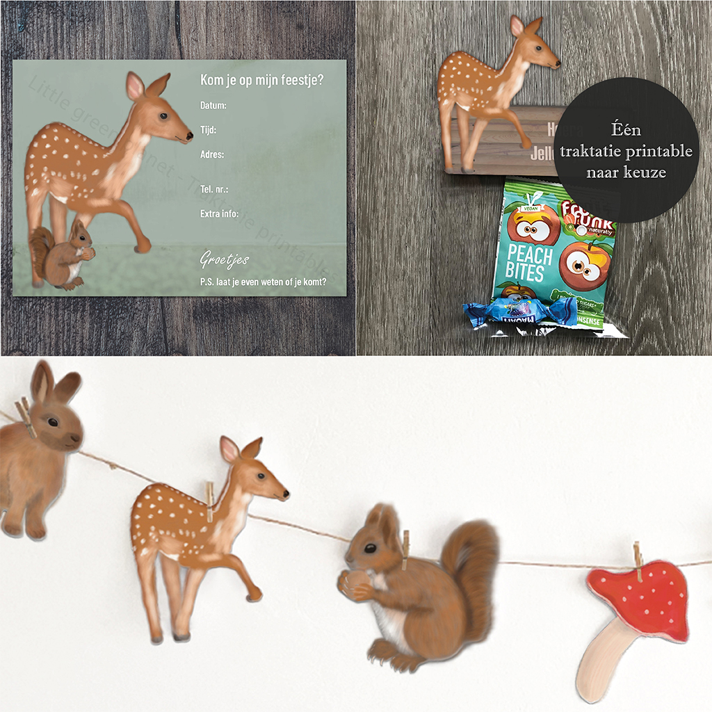 Bosdieren kinderfeestje - Basis - Uitnodiging, versiering en traktatie - 3 printables.