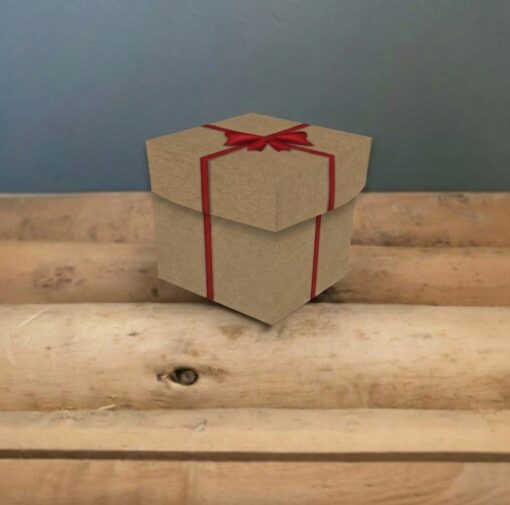 Cadeaudoosjes Kerst – Mini – Printable. Klein cadeautje. Traktatie doosje. Decoratie cadeautje. Kerst decoratie thuis, school, opvang. Sensorisch. Werp spel